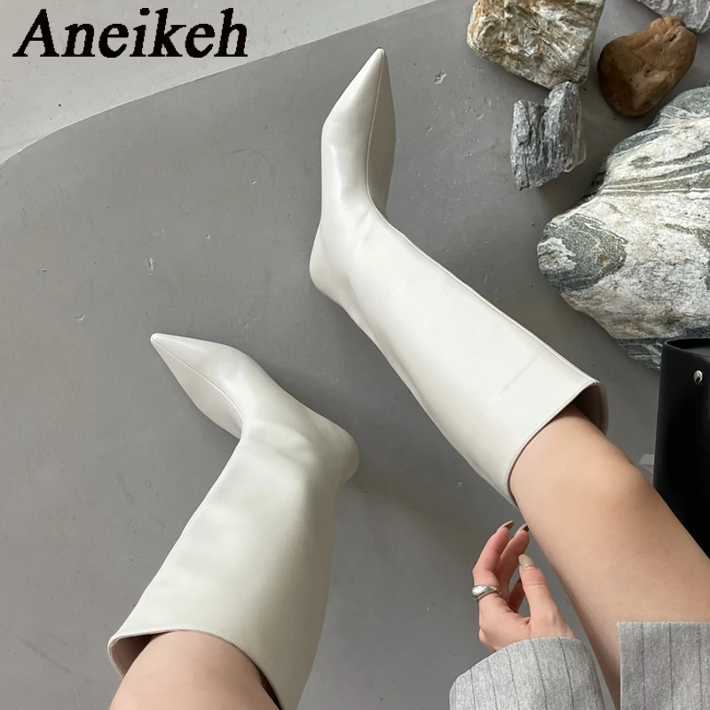 Aneikeh 2026 Fashion Sexy Poin - Women'S Fashion Knee High Boots 评论和价格