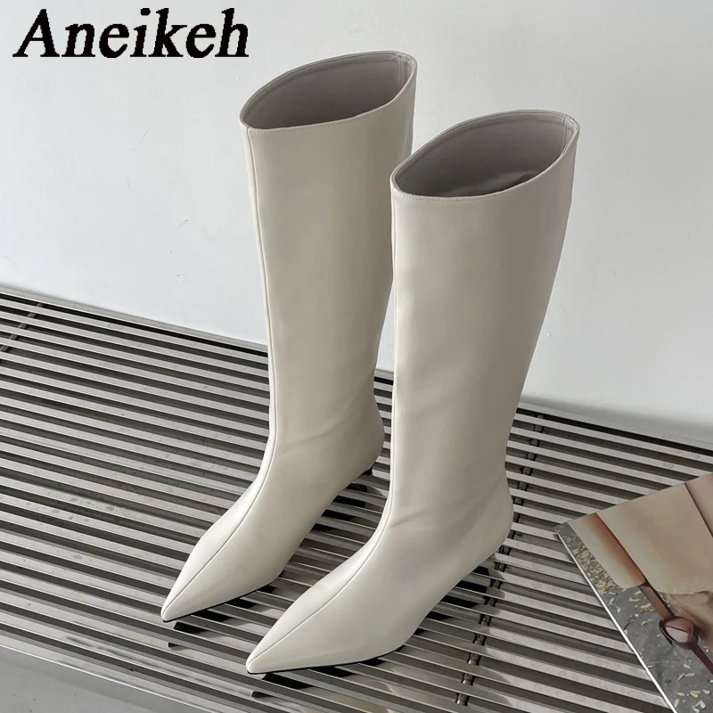 Aneikeh 2026 Fashion Sexy Poin - Women'S Fashion Knee High Boots 评论和价格