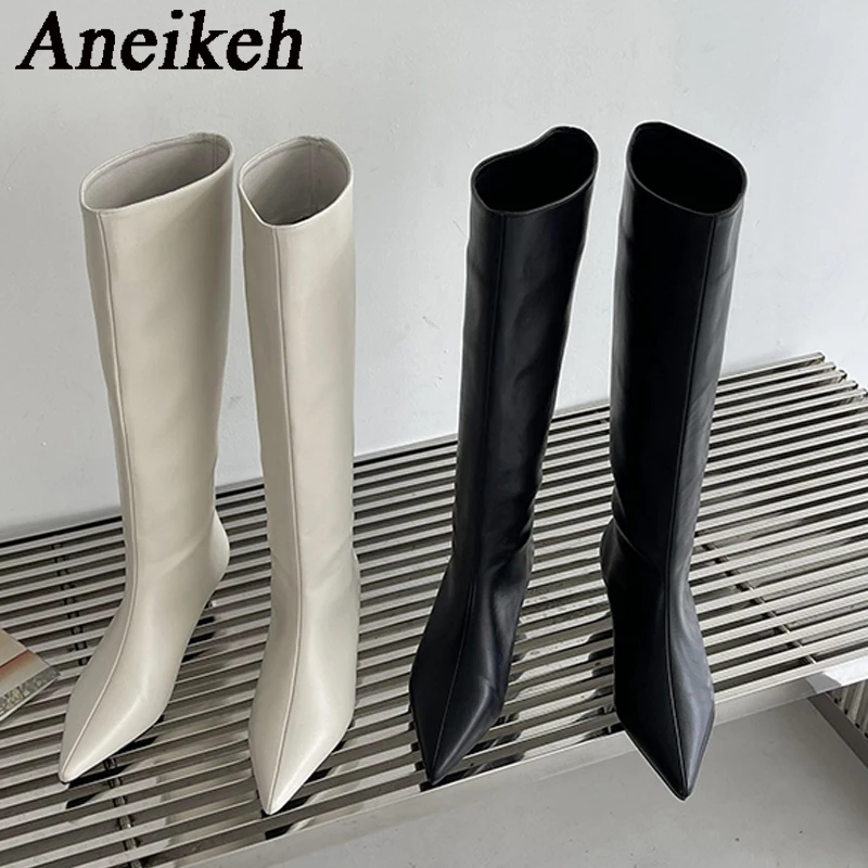 Aneikeh 2026 Fashion Sexy Poin - Women'S Fashion Knee High Boots 评论和价格